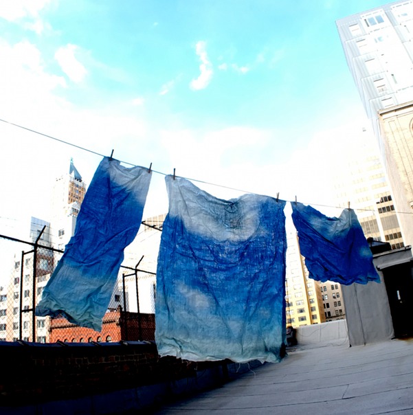 clotheslineRoof5bsml