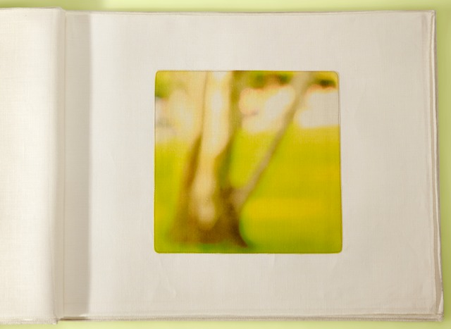 Luxembourg 3 Tree Branches 40x26.5TcropFinalyellow