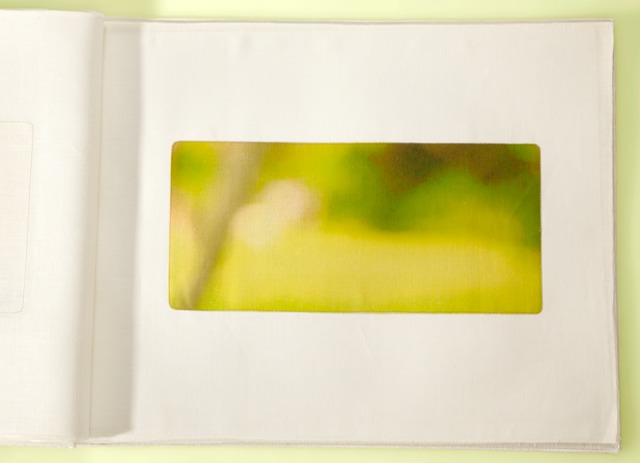 Luxembourg Field 18.5x40cropfinalyellow