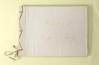 Paris Spring Cover-Yellow-forwebsite