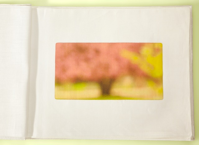 Pink Tree Plantes 21.5x40crop-1Tyellow