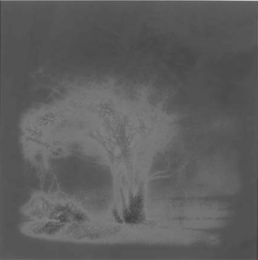 website brainstem tree sol