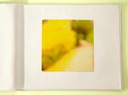 Yellow Path1 Plantes 40x39.5croTfinalY