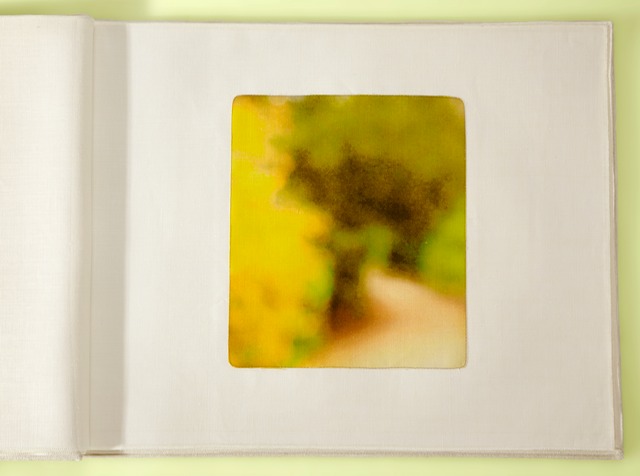 Yellow Path 3 Plantes 40x34cropTfinalyellow