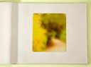 Yellow Path 3 Plantes 40x34cropTfinalyellow